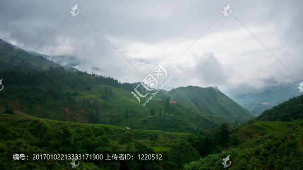 在越南南非谷