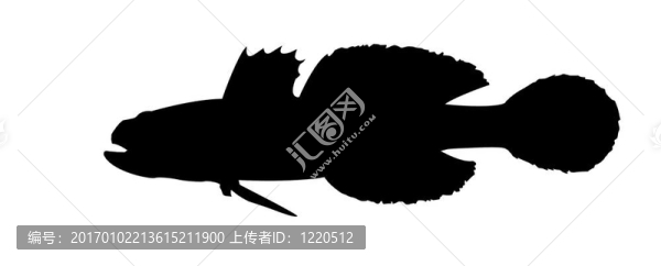 在白色背景的魚的輪廓