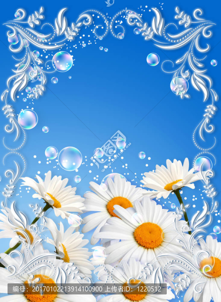 天空的雛菊