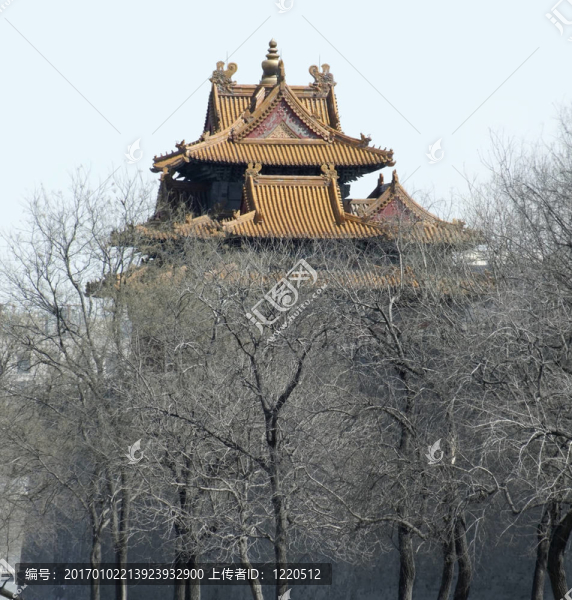 在中國在紫禁城