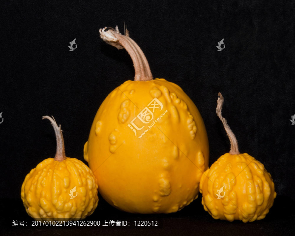 南瓜