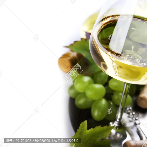 葡萄酒和葡萄