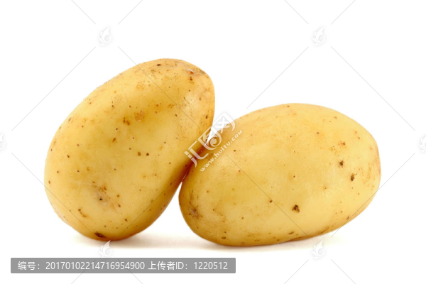 兩個(gè)新鮮土豆在白色背景上分離