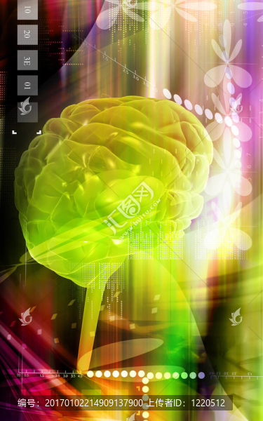 腦