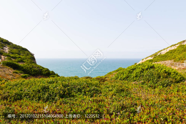 葡萄牙的草岸線與海洋