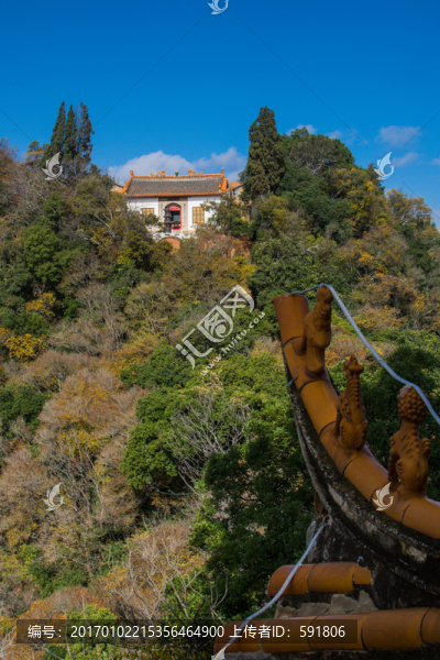 觀音寺遠(yuǎn)眺