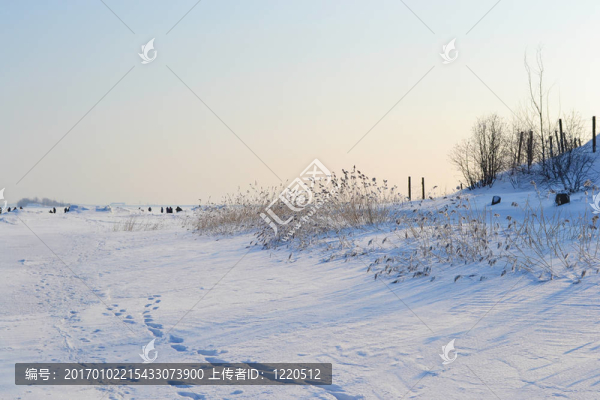 芬蘭的Frozen,Gulf；陽光明媚的冬日。