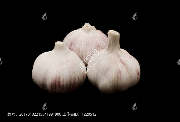 三瓣大蒜。黑色背景孤立