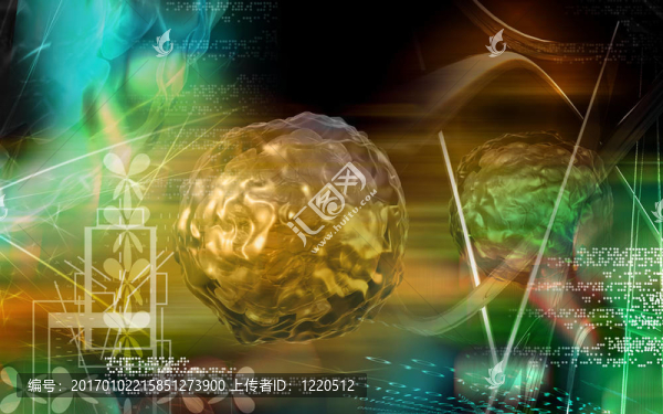 脊髓灰質(zhì)炎病毒