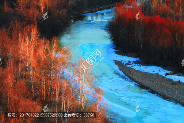 冰河樹林