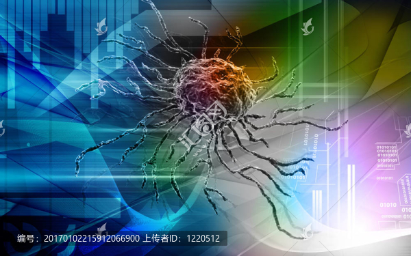 干細(xì)胞