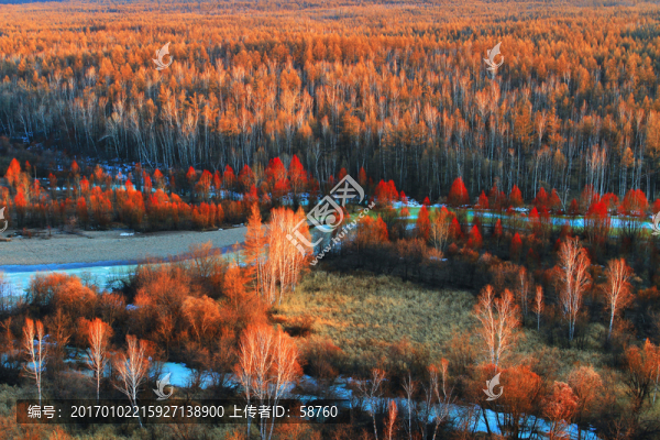 冰河紅樹(shù)林