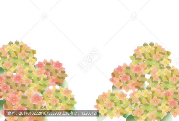 繡球