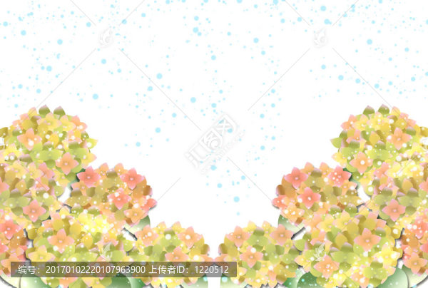 繡球