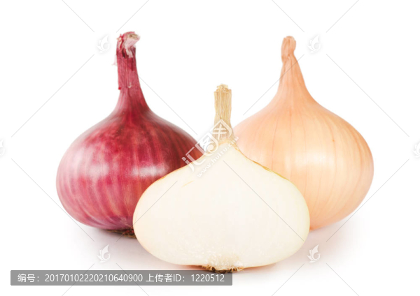 新鮮洋蔥