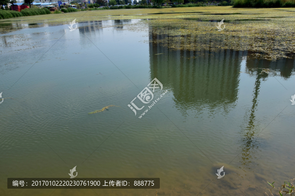 微波的湖面風(fēng)景圖