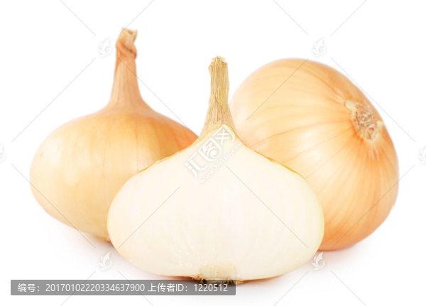 新鮮洋蔥