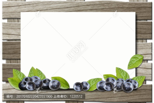 框架的藍(lán)莓