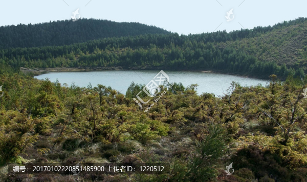 在小亞速爾群島湖