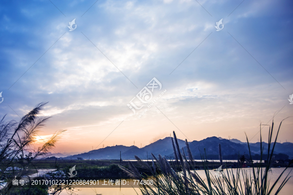 湖泊,天空,蘆葦