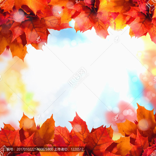 紅黃樹葉