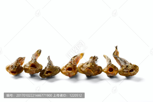 干魚(yú)