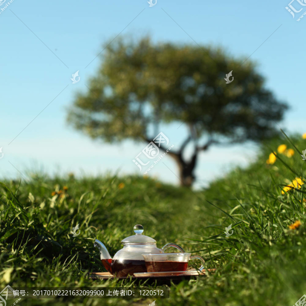 茶葉
