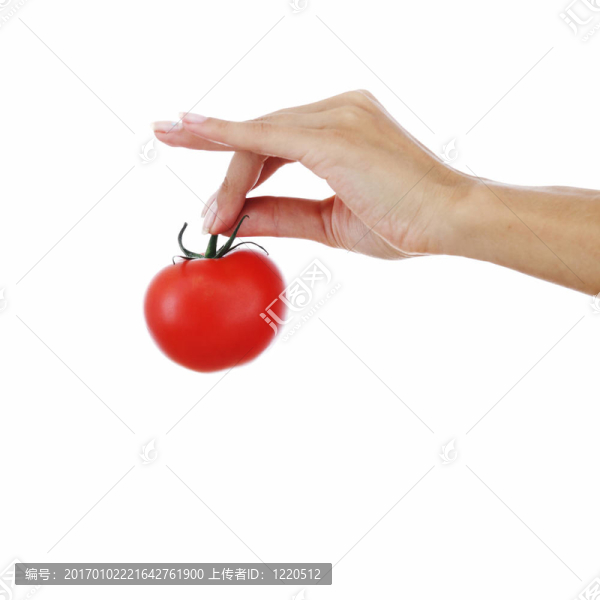 婦女手中的西紅柿