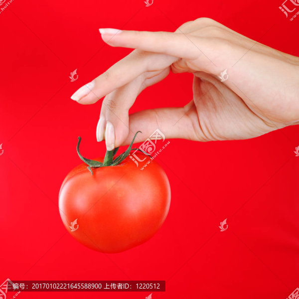 婦女手中的西紅柿