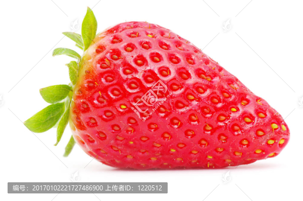 草莓
