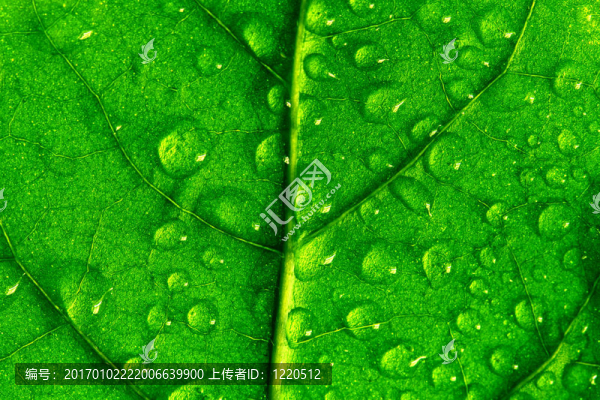 水滴