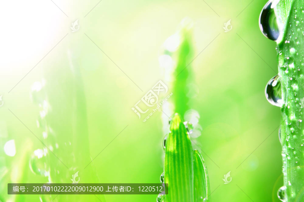 閃耀的水滴