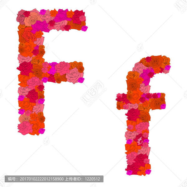 紅玫瑰花字母；特征f-f