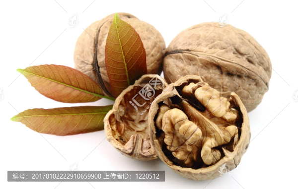 核桃葉