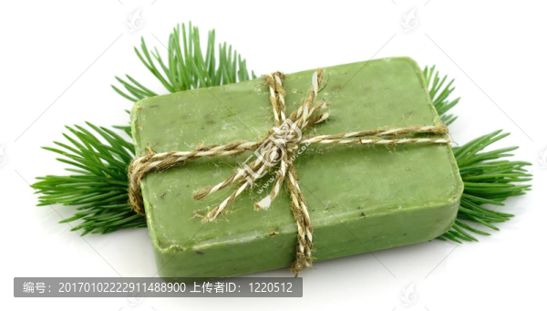 帶枝的肥皂