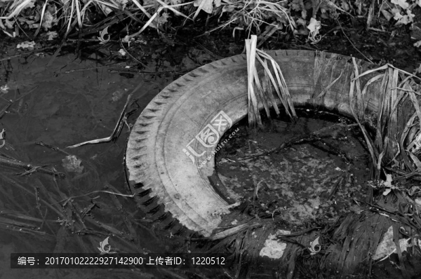 大卡車輪胎倒在水中黑白相間