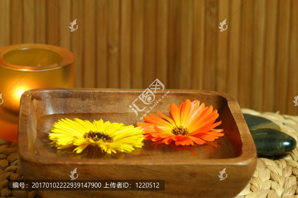 漂浮的金盞花