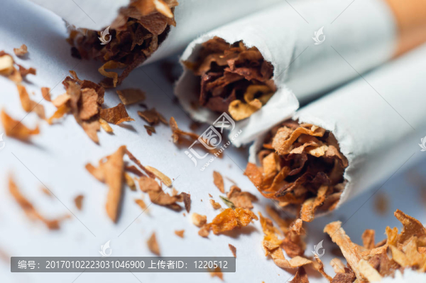 白色背景上破碎的香煙