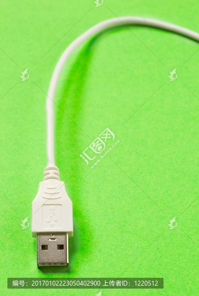 USB電纜隔離在綠色背景