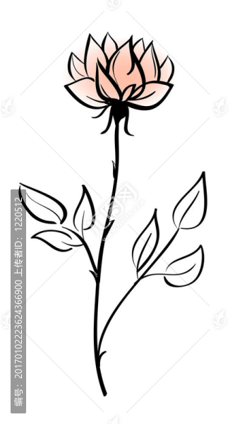 美麗的花