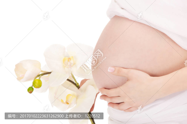 孕婦的肚子