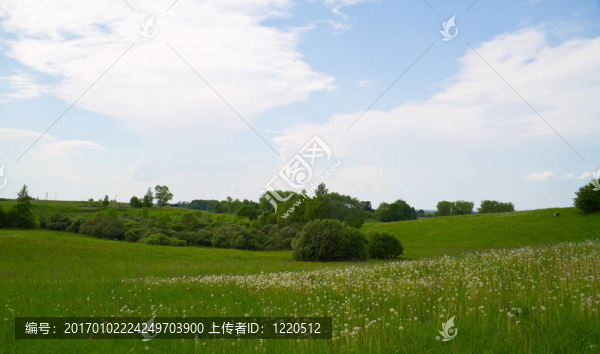 夏天的風(fēng)景