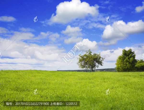 夏天的風景