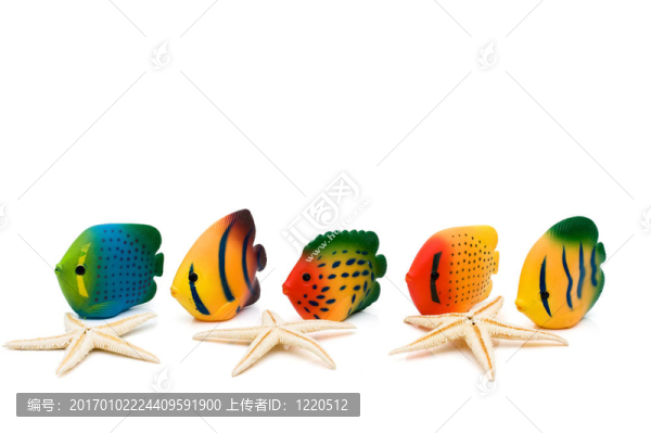 小可愛(ài)的魚(yú)