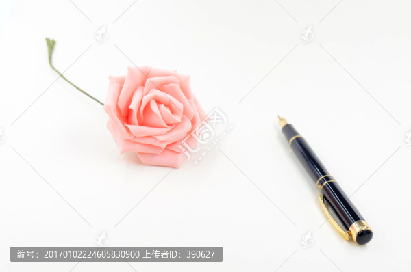白色背景上的玫瑰花和鋼筆