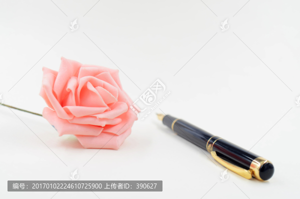 白色背景上的鋼筆和玫瑰花