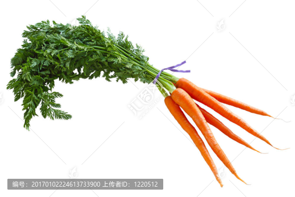 胡蘿卜堆