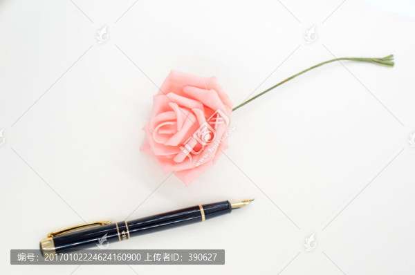 白色背景上的鋼筆和玫瑰花