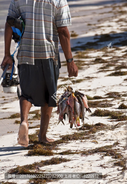 捕魚(yú)求生。