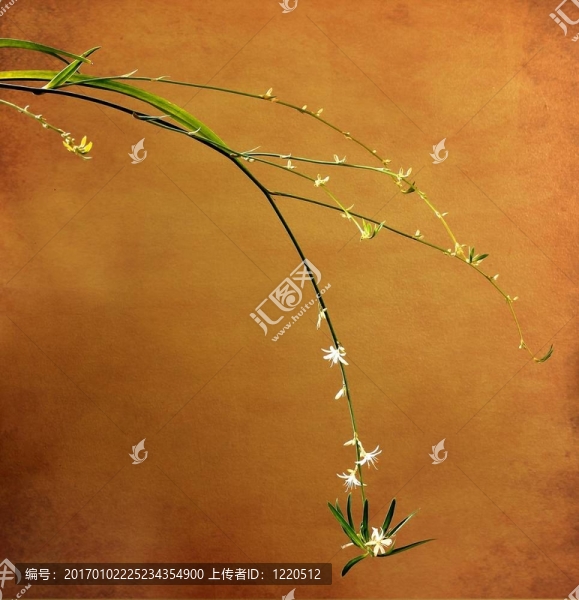 日式花卉噴霧